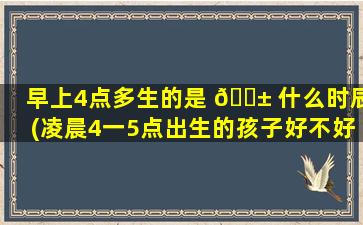 早上4点多生的是 🐱 什么时辰(凌晨4一5点出生的孩子好不好)